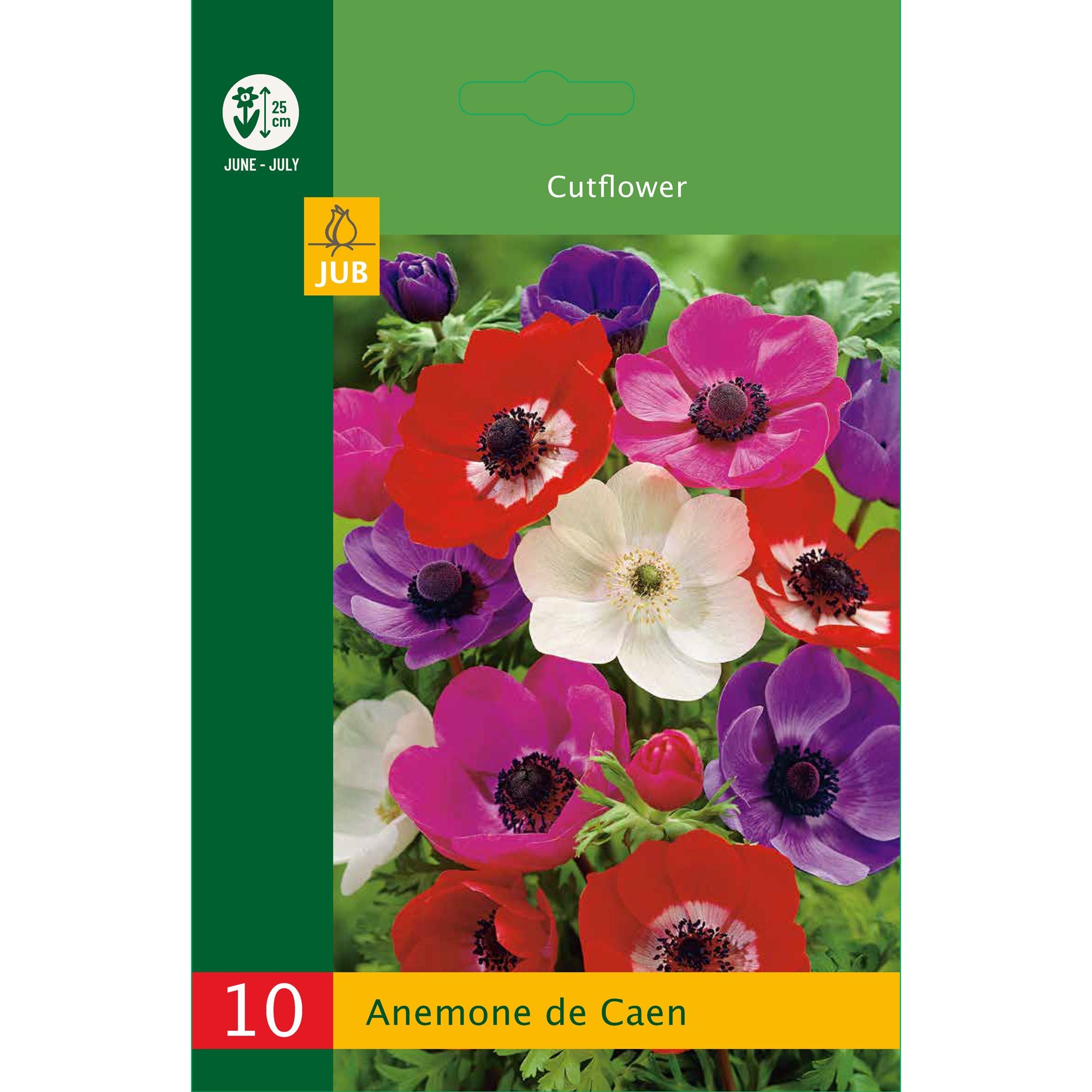 Anemone De Caen