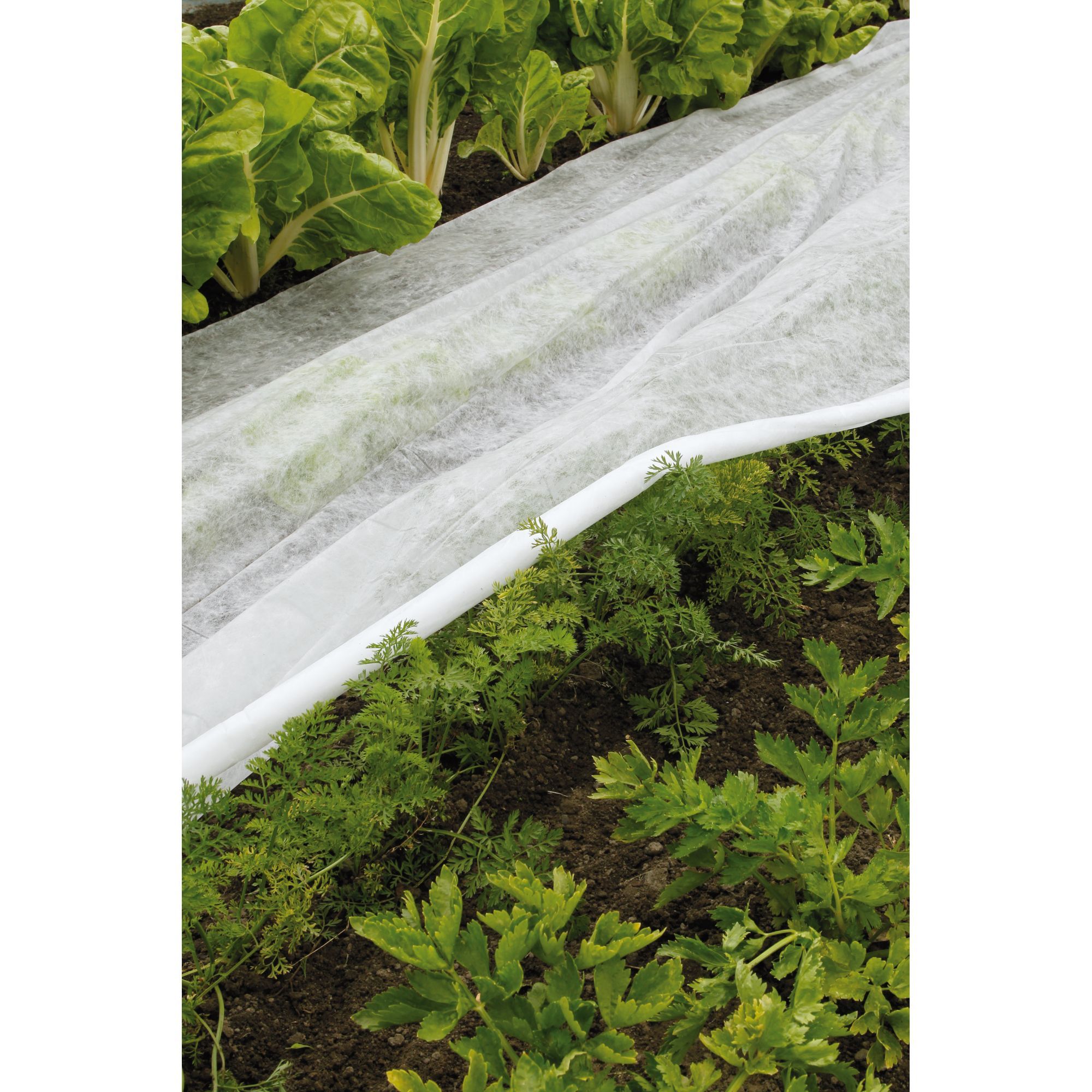 Спанбонд 60. Кв. Агроспан мульча 60. Укрывной материал белый спанбонд. Спанбонд агроспан.