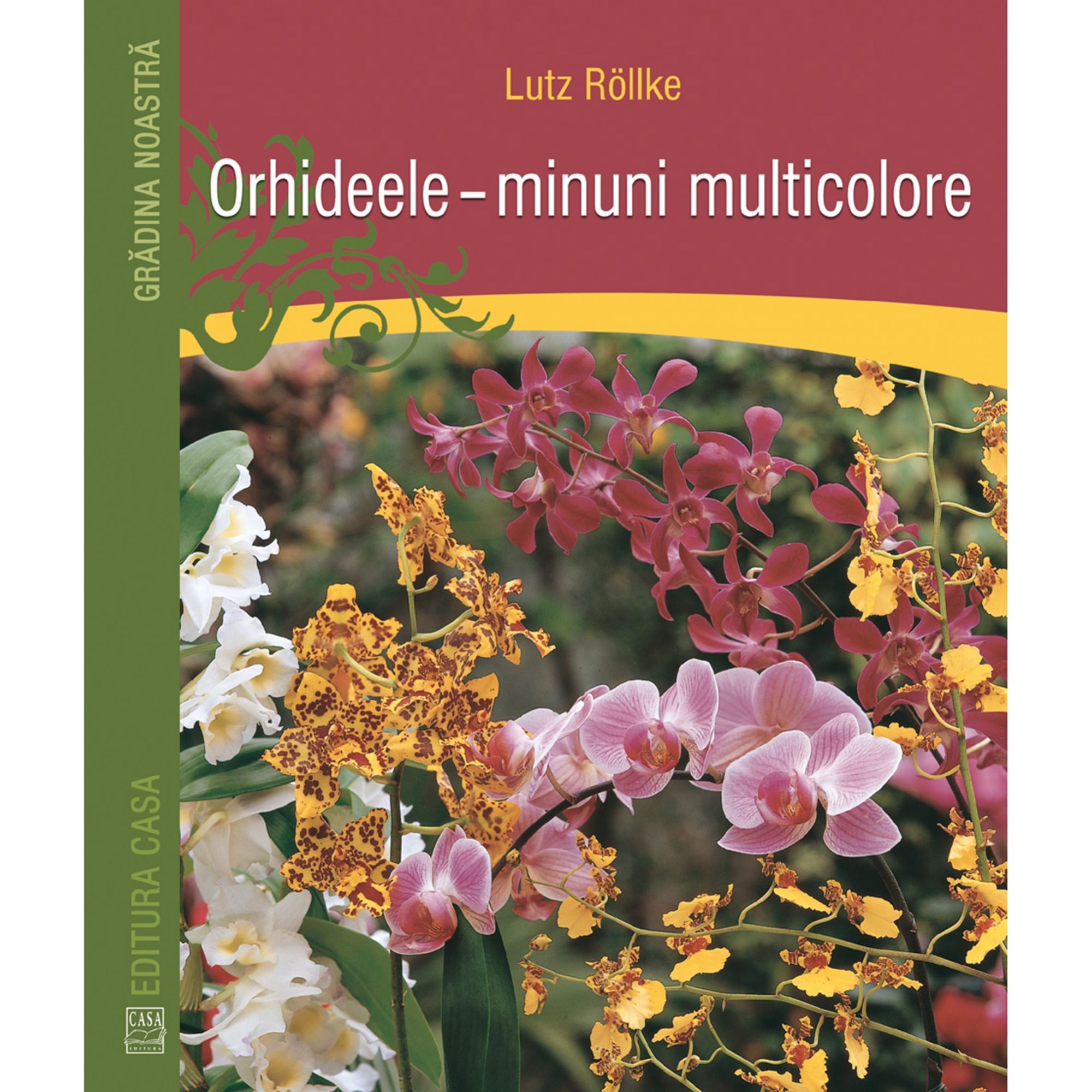 Orhideele Minuni Multicolore