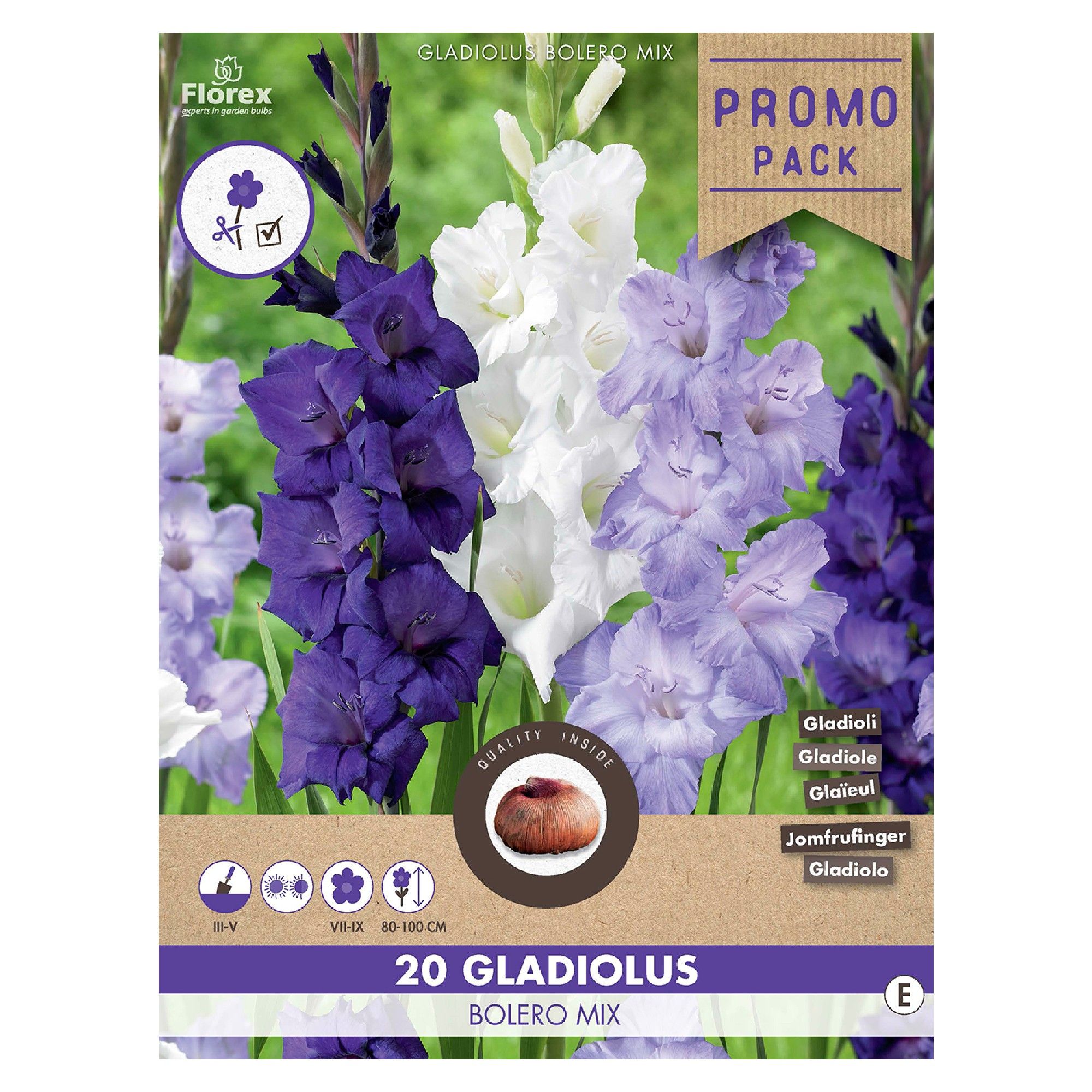 Bulbi gladiole GrandifloraBolero mix culori (20 buc)