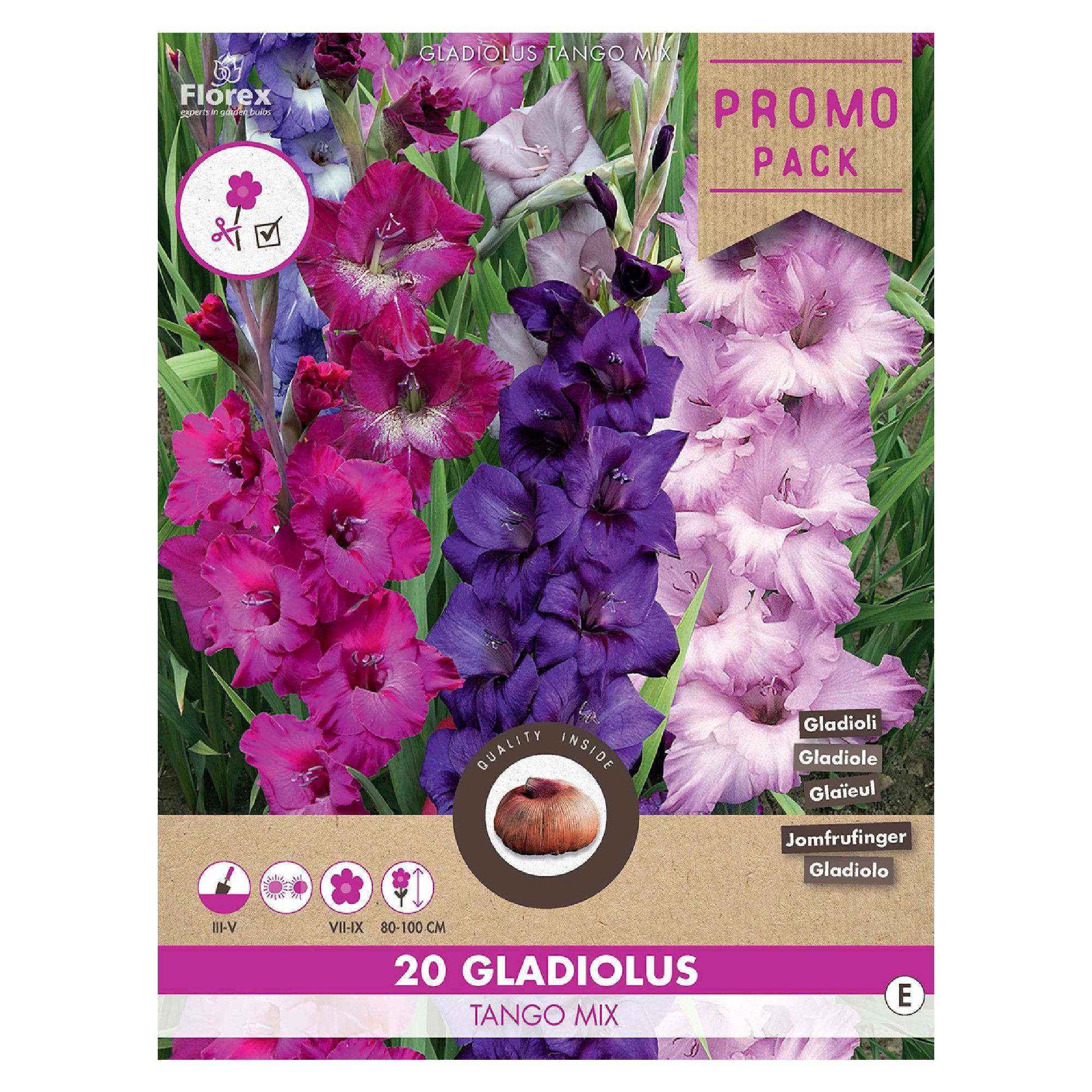 Bulbi gladiole GrandifloraTango mix culori (20 buc)