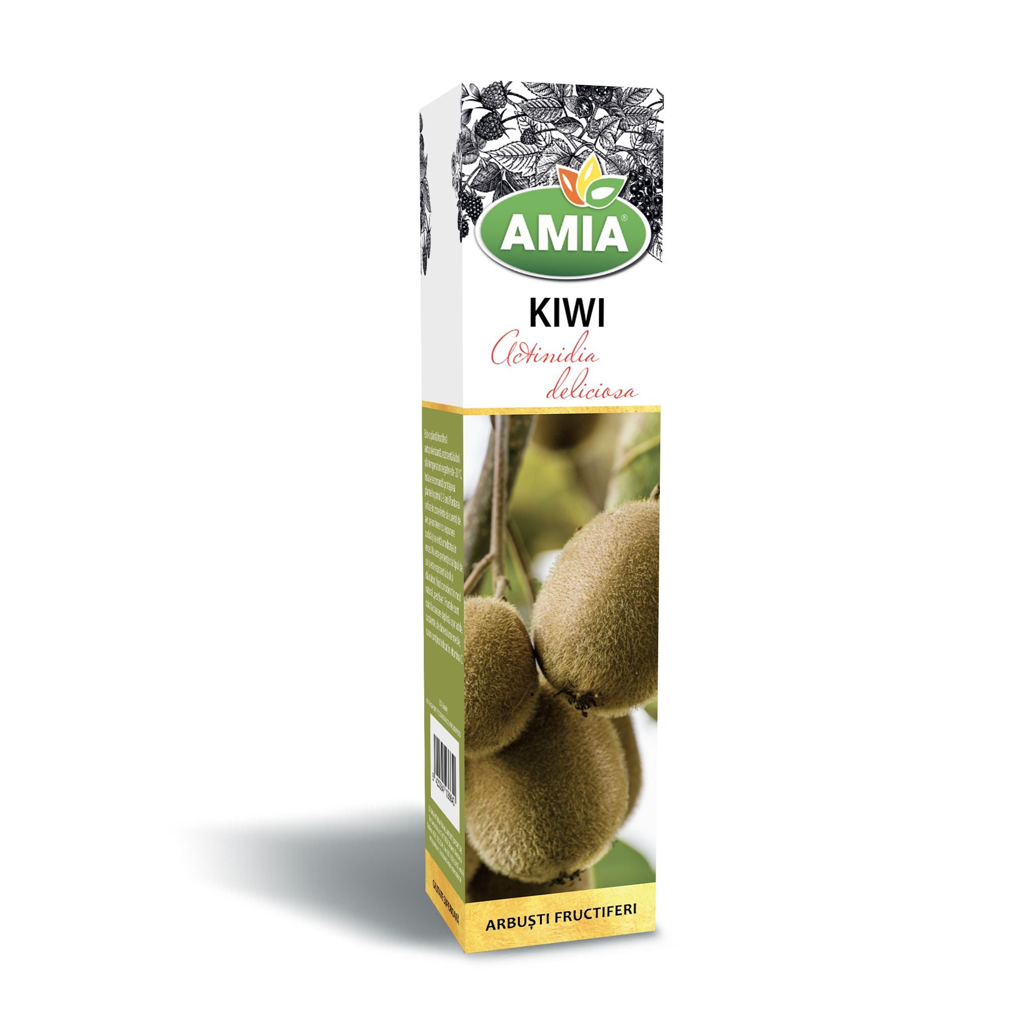 2 Piante Di Kiwi Actinidia Deliciosa – 1 Femmina Clone 8 E 1 Maschio Tomuri, Altezza 110-130 Cm, Vaso 16 Cm, Coltivate In Vivaio
