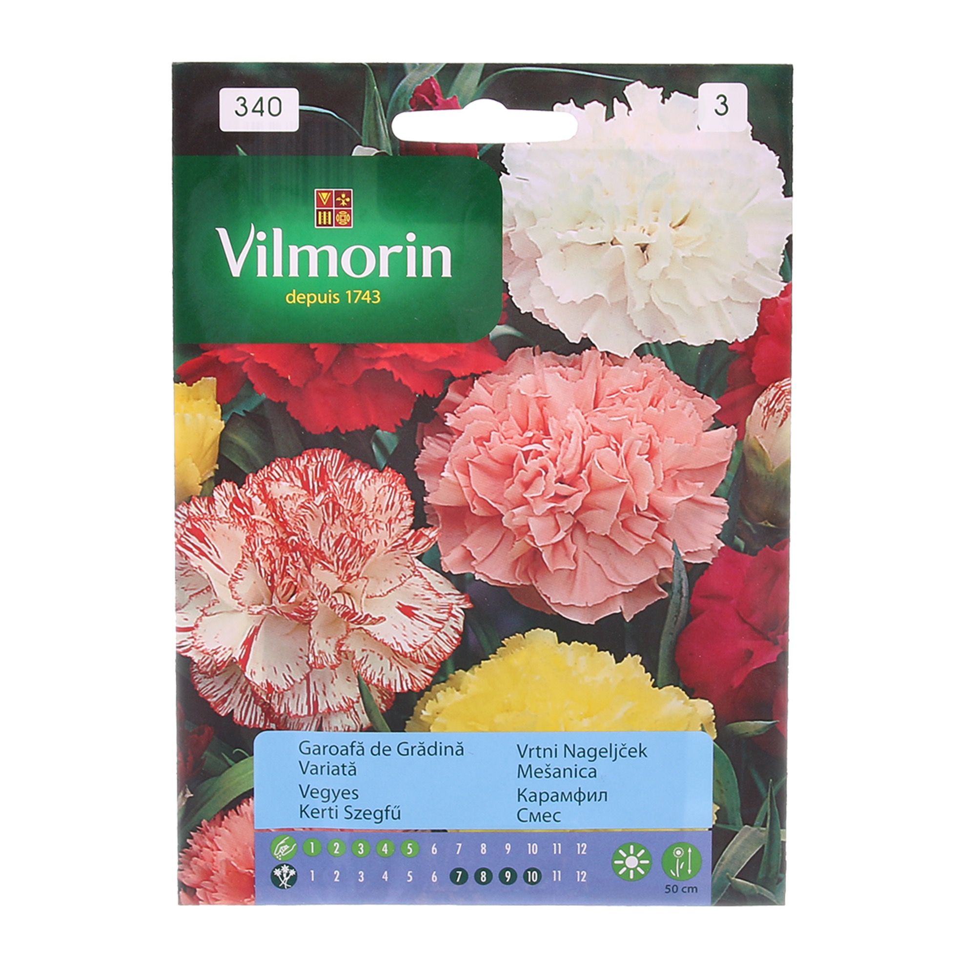Seminte Garoafe De Gradina Vilmorin 0 5g