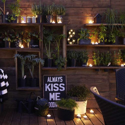 Diy Creaza Etajere Din Lemn Pentru Plante