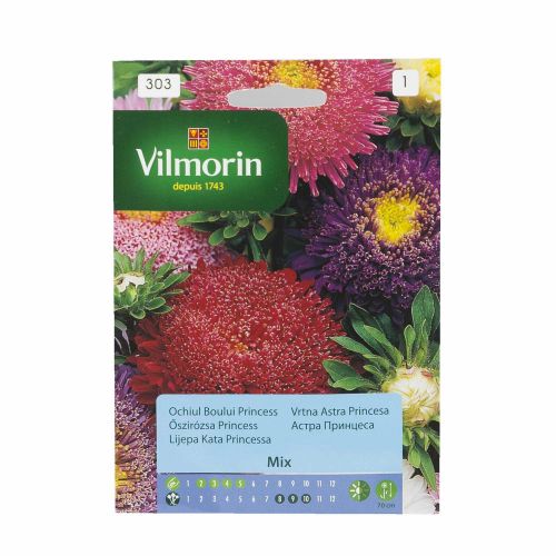 Seminte ochiul boului Vilmorin 1g