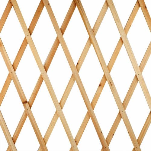 Spalier lemn 1 x 2 m