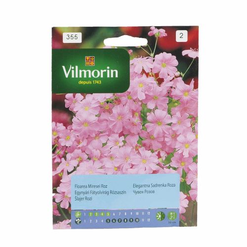 Seminte floarea miresei roz 3g