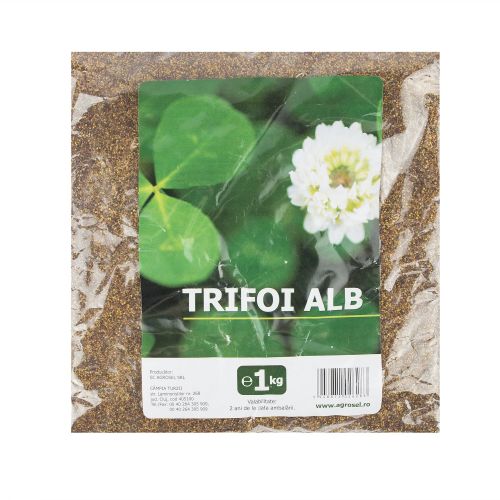 Seminte trifoi alb 1 kg