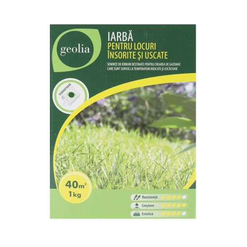 Gazon loc insorit Geolia 1 kg