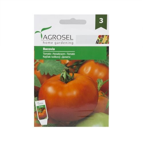 Seminte tomate Bacovia