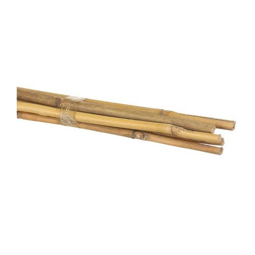 Mini Spalier 37 Cm