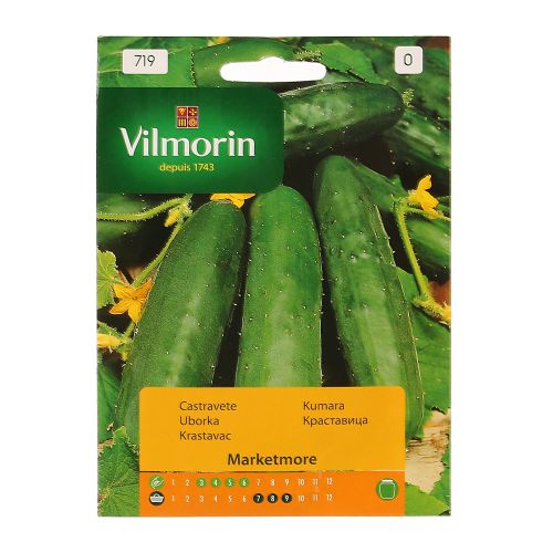 Seminte castraveti Marketmore Vilmorin 2g