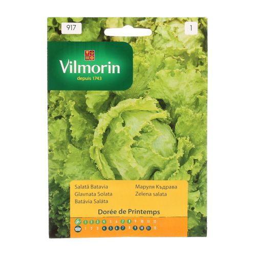 Seminte salata Batavia Vilmorin 0.5g