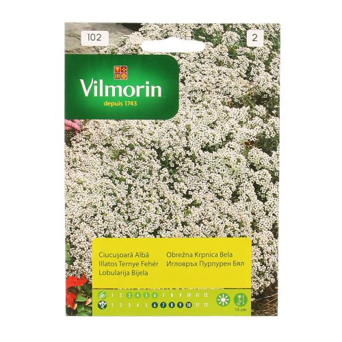 Seminte ciucusoara alba Vilmorin 1g