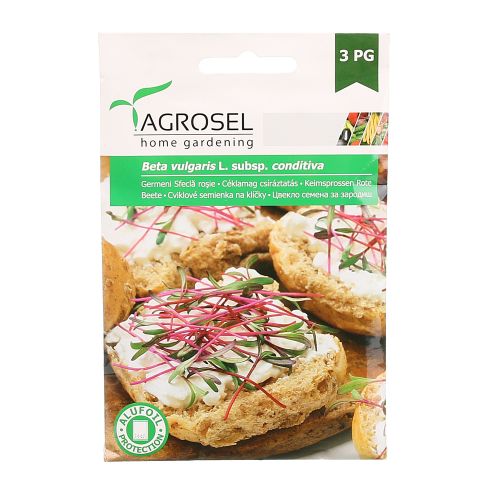 Seminte germeni sfecla rosie 1g
