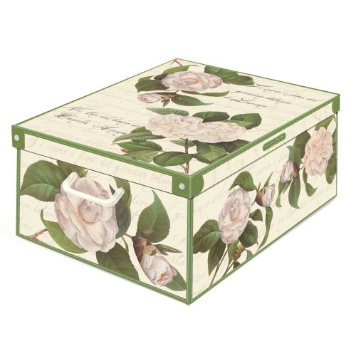 Cutie Camelie 50 x 39 x 24 cm