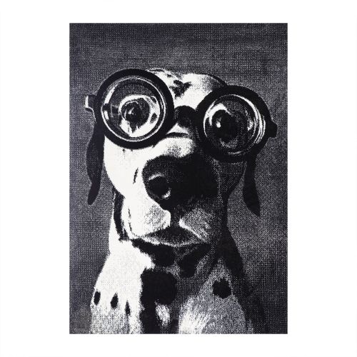 Covor polipropilena 120 x 170 cm Kolibri dalmatian