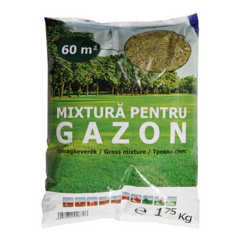 Gazon ambalat in folie 1,75 kg