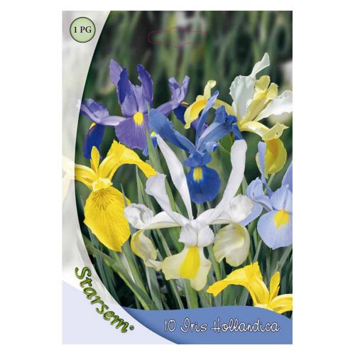 Bulbi iris Hollandica mixt 10 bucati