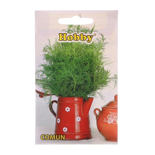Gradina Si Amenajare Leroy Merlin