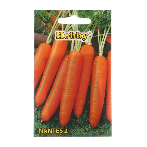 Seminte morcov Nantes Hobby 3g