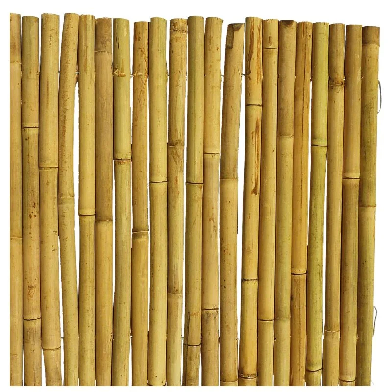 Gard bambus Bambooflex 2 x 3 m
